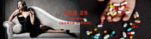 сатива Надым