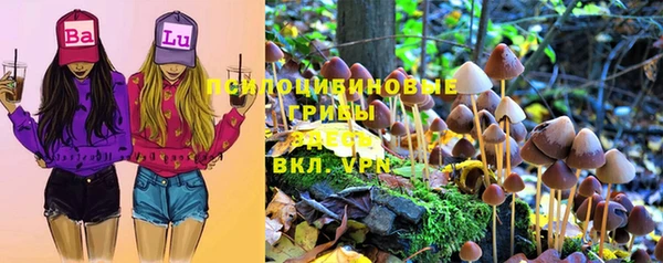 мяу мяу мука Нефтекумск