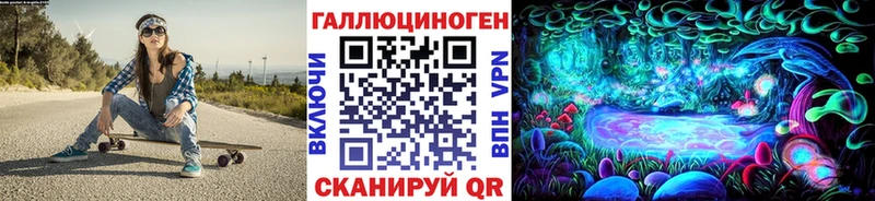 дарнет шоп  Мичуринск  Псилоцибиновые грибы Cubensis 