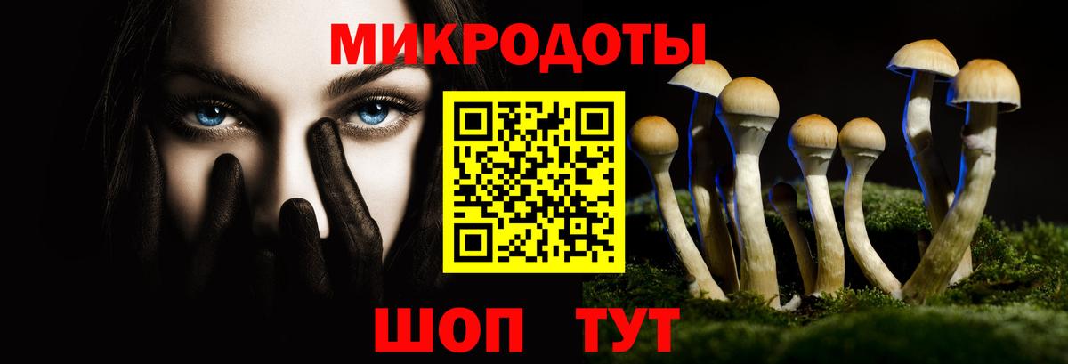 Мичуринск  Псилоцибиновые грибы GOLDEN TEACHER  Псилоцибиновые грибы Psilocybe  Вход с VPN 