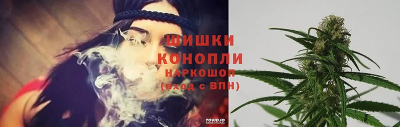 цены наркотик  Мичуринск  Бошки Шишки THC 21% 