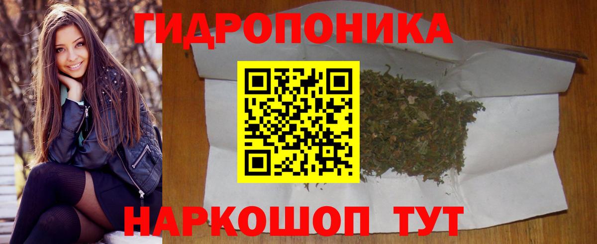 Канабис ГИДРОПОН  Конопля сатива  Мичуринск  МАРИХУАНА планчик 